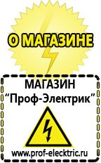 Магазин электрооборудования Проф-Электрик Автомобильный инвертор чистый синус купить в Сарапуле